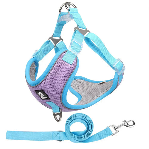 Adjustable Breathable Pet Harness with Leash - No-Pull Design